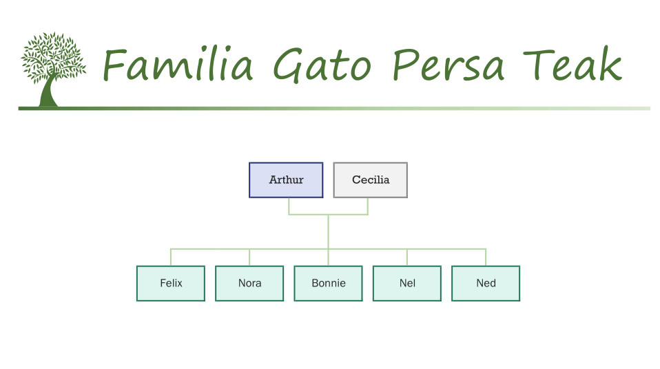 Familia Gato Persa Teak Sylvanian
