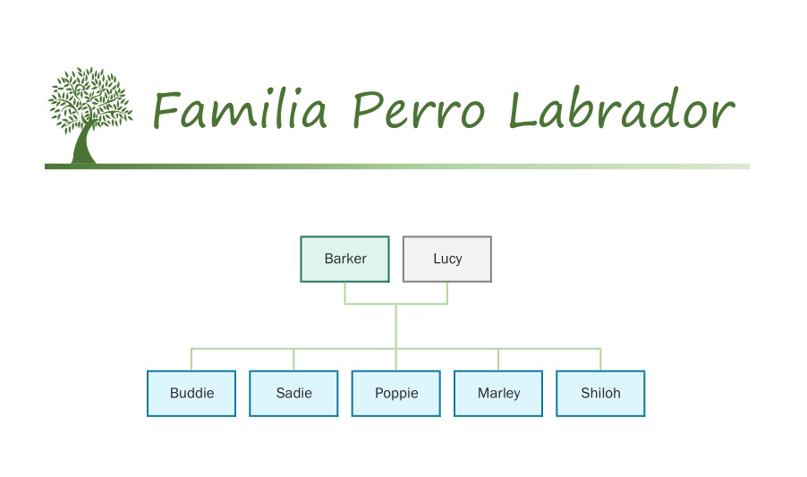 Familia Perro Labrador Sylvanian