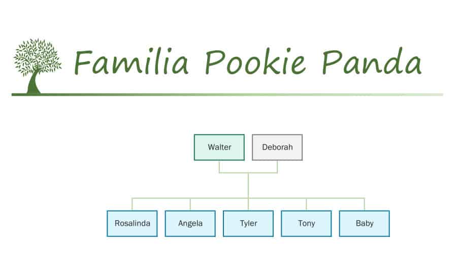 Familia Pookie Panda Sylvanian